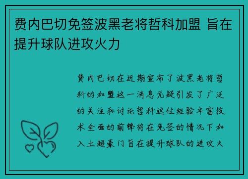费内巴切免签波黑老将哲科加盟 旨在提升球队进攻火力 费内巴切免签波黑老将哲科加盟 旨在提升球队进攻火力
